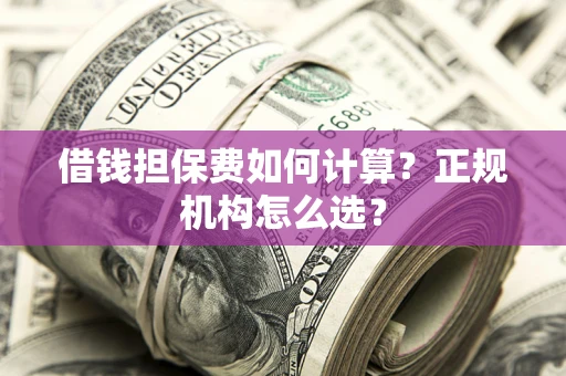 济南借钱担保费如何计算？正规机构怎么选？