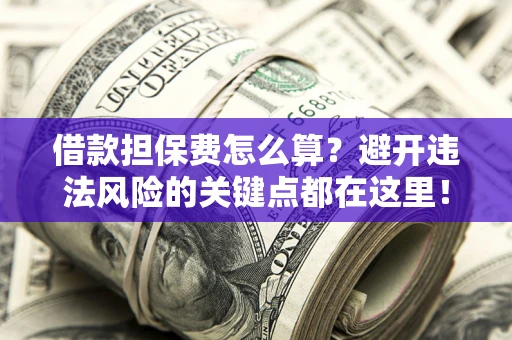 济南借款担保费怎么算？避开违法风险的关键点都在这里！