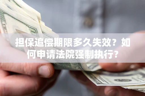 济南担保追偿期限多久失效？如何申请法院强制执行？